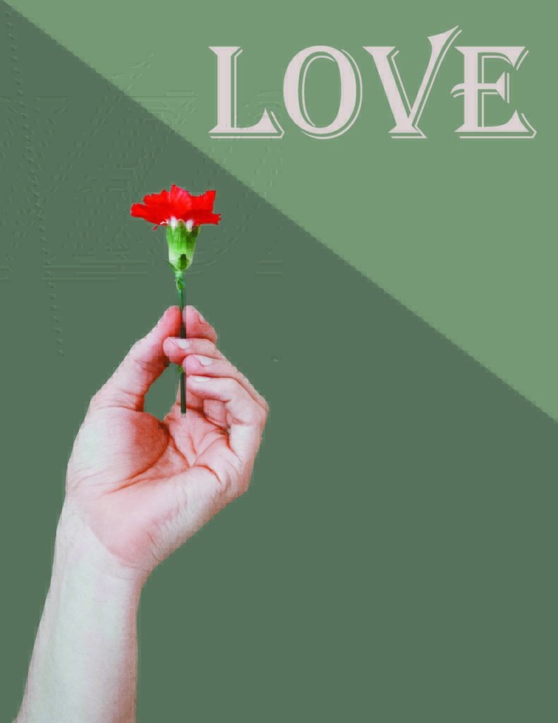 The bottom left corner features a pale hand holding the stem of a red flower. This is on a green background. The top right corner has text that says "LOVE".