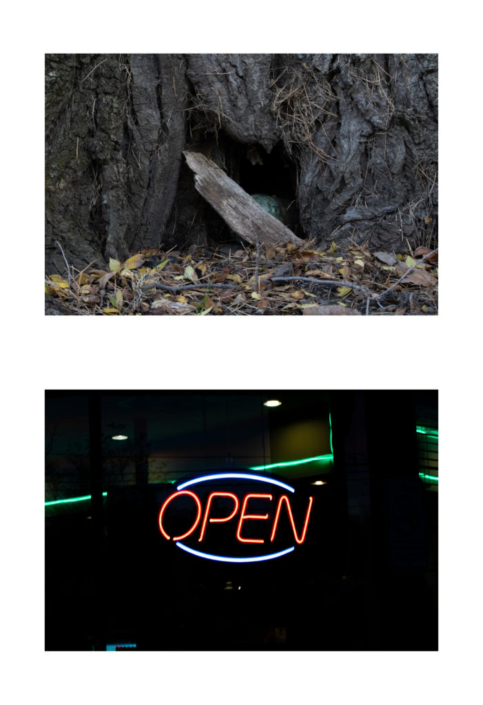 The image consists of two smaller images in a collage-like format. The image on top features a zoomed-in shot of a tree with a hole in it. Over the entrance is a small slab of wood. The bottom picture is a pitch-black background with a neon sign in the center that says "OPEN".