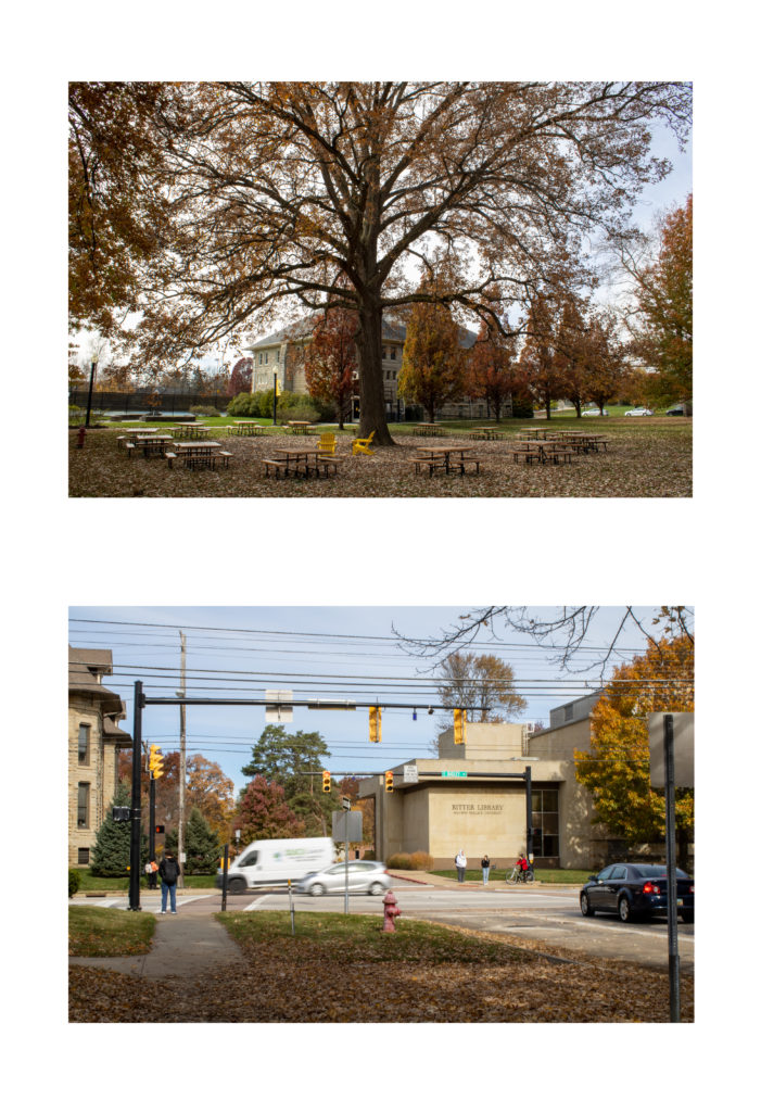 The image consists of two smaller images in a collage-like format. The top image is of a large tree overseeing a large amount of empty benches in fall. The bottom image is of a city street with traffic going by.