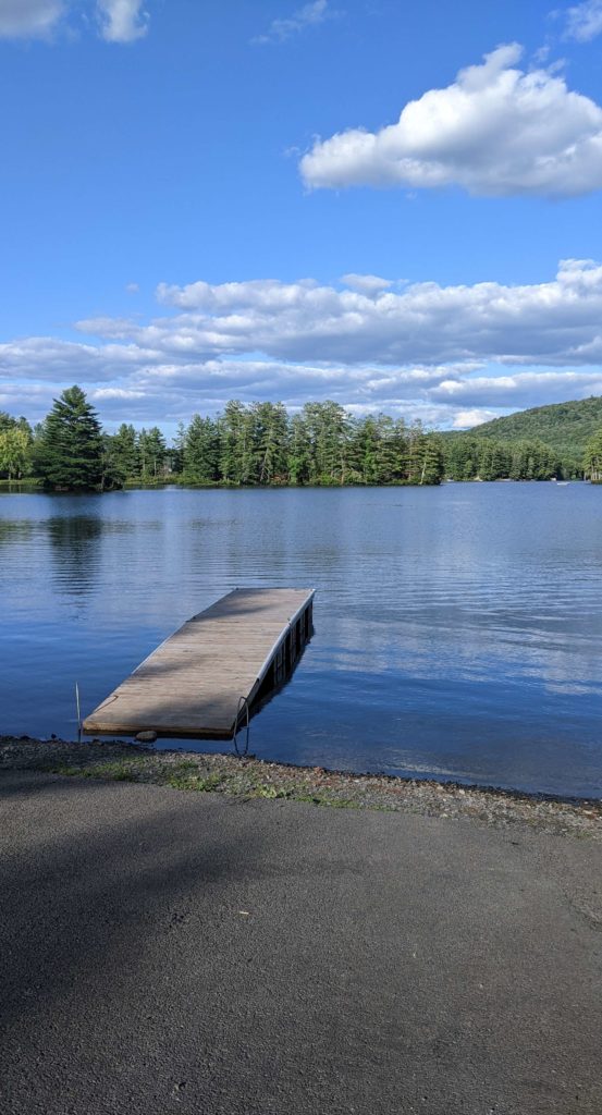 At the top, there is a cloudy blue sky, followed by a row of green trees on the horizon. Below that is a blue lake that a wooden pier extends into. The bottom of the image contains a muddy beach.