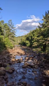 A blue stream of water going through the center, with rocks and trees surrounding it. The sky is blue with one large fluffy cloud.