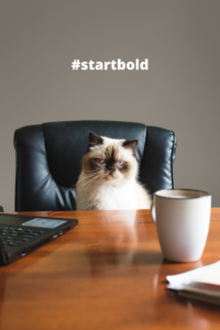 A wooden desk with a black leather chair against a green background. The right of the wooden desk has a coffee mug on it, while the left has part of a laptop showing. Sitting in the chair is a Siamese cat. Floating above the cat is the text #startbold.